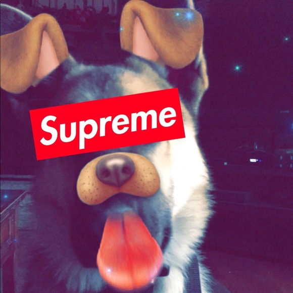 Meet your Posher, Nathan - Picture 1 of 1